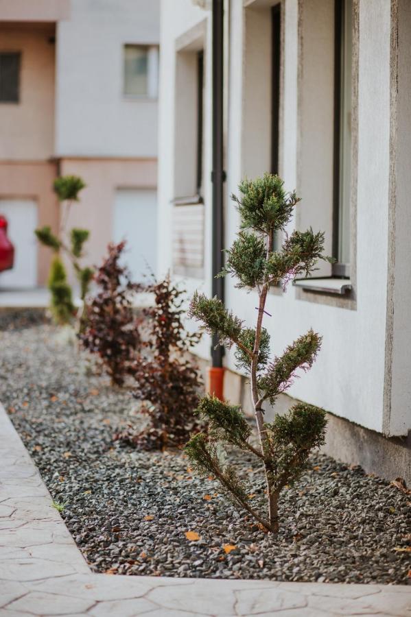 The Nook Aparthotel ทิมิชัวรา ภายนอก รูปภาพ
